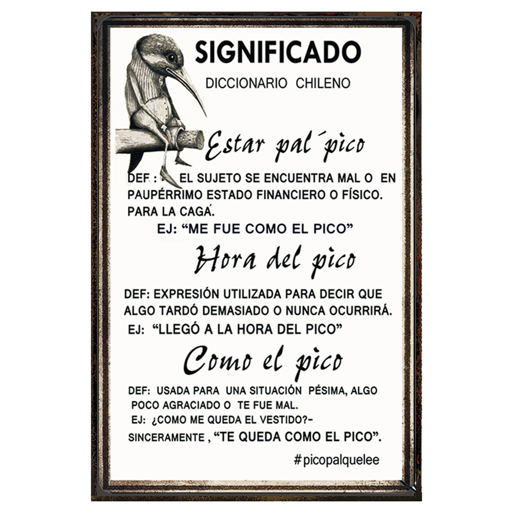 SIGNIFICADO, Diccionario chileno